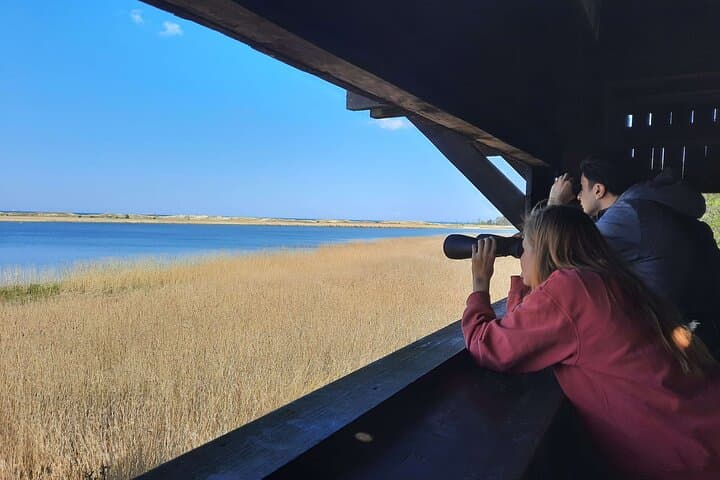 Sobieszewo Island Nature Walk: Bird Hides, Lakes and Baltic Coast Views photo 3