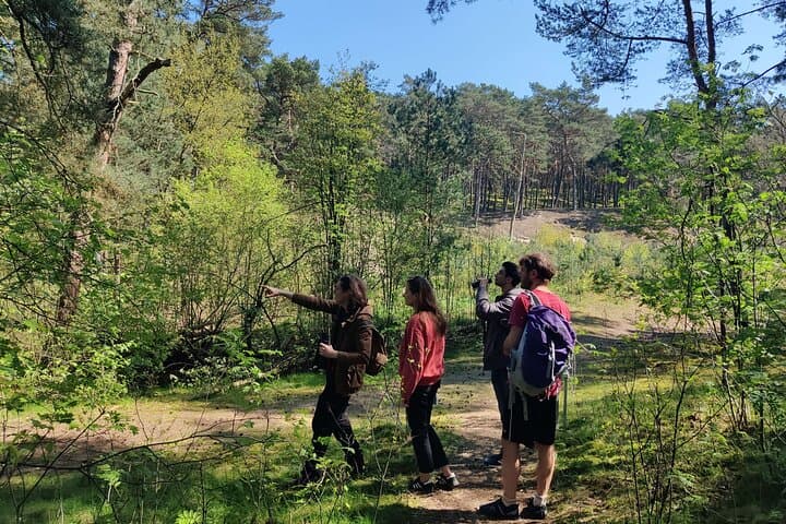 Sobieszewo Island Nature Walk: Bird Hides, Lakes and Baltic Coast Views photo 2