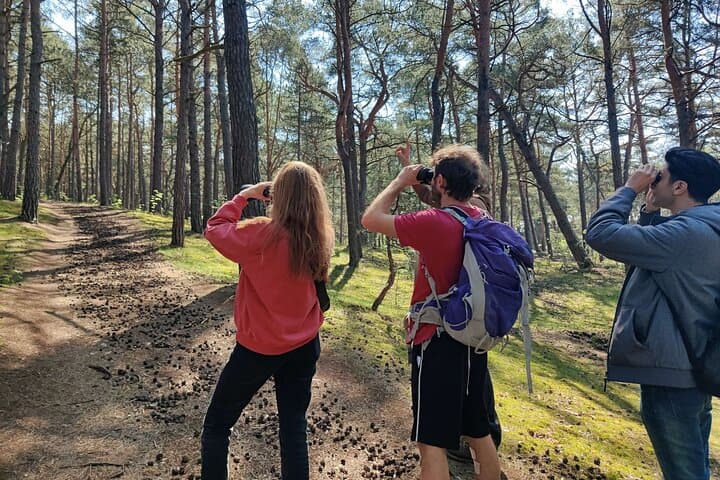 Sobieszewo Island Nature Walk: Bird Hides, Lakes and Baltic Coast Views