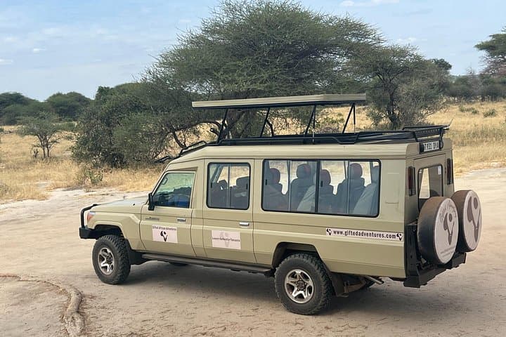Two-Day Tarangire and Ngorongoro Safari: Elephants and Crater Game Drives photo 4