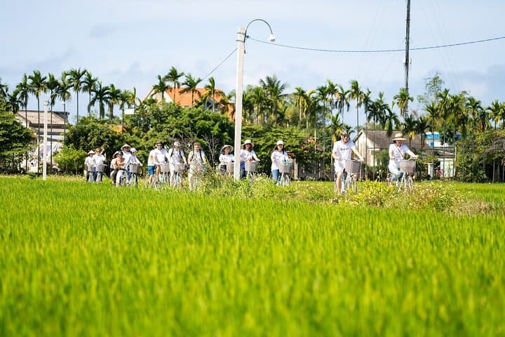 Cycle Cam Thanh: Farm Visits, Basket Boats and Rural Hoi An photo 5