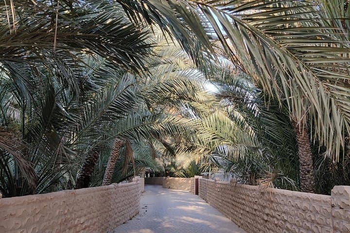 Full-Day Al Ain Culture, Heritage & Jebel Hafeet Nature Tour photo 2
