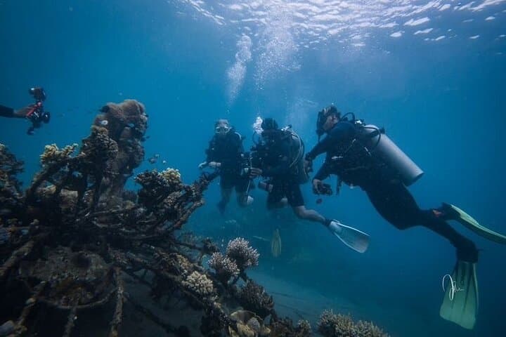 Try Dive Program at Biorock Pemuteran — Intro Scuba on Bali's Restored Reefs
