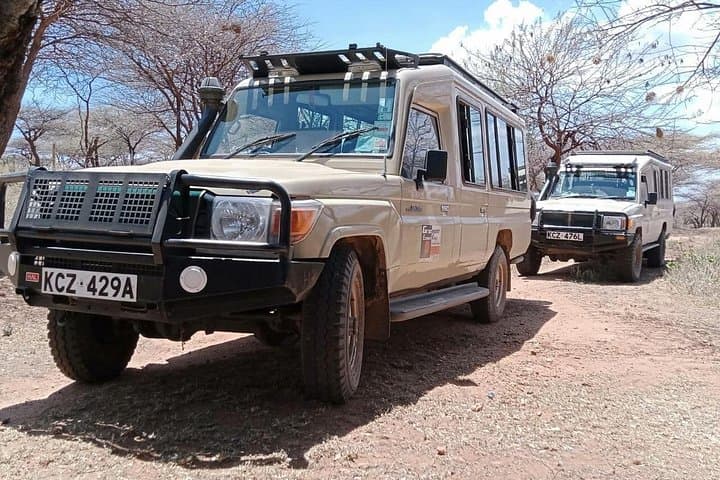 4-Day Masai Mara Mid-Range Explorer Safari — Small-Group 4x4 Game Drives & Maasai Village photo 3