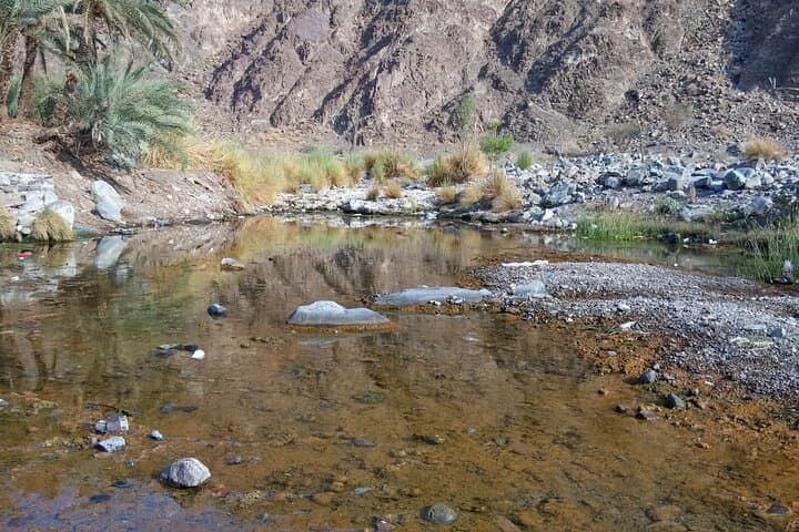 Wadi Shawka Dam Day Trip: Hike, Swim and Scenic Drive from Ras Al Khaimah photo 6