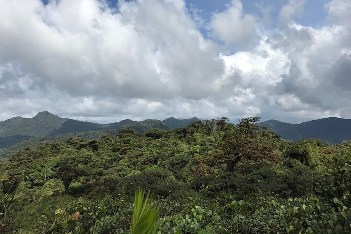 Cerro Gaital Caldera Route Hike: Private 3km Rainforest Trek with Panoramic View photo 6
