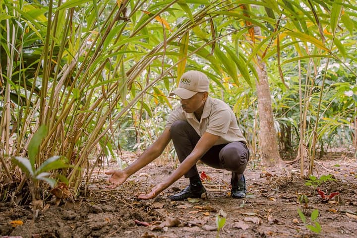 Zanzibar Spice Private Tour: Half-Day Spice Farm & Cultural Crafts Experience photo 4