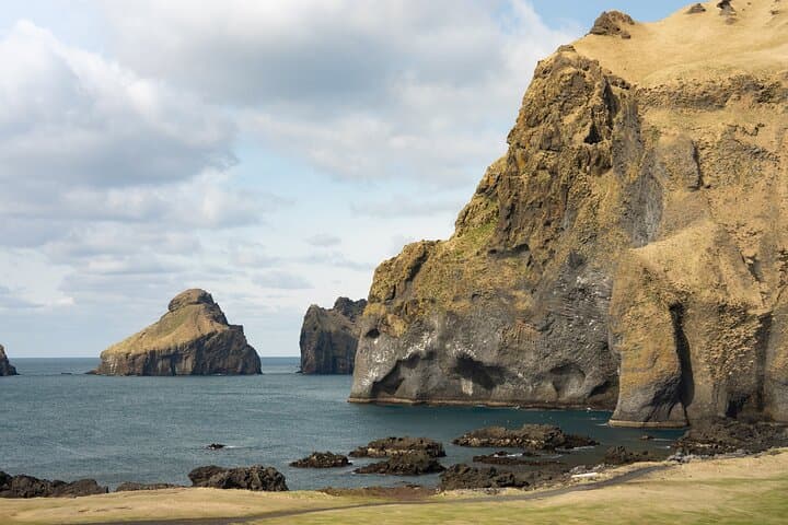 Vestmannaeyjar Puffins and Volcanoes — Day Tour from Reykjavík photo 2