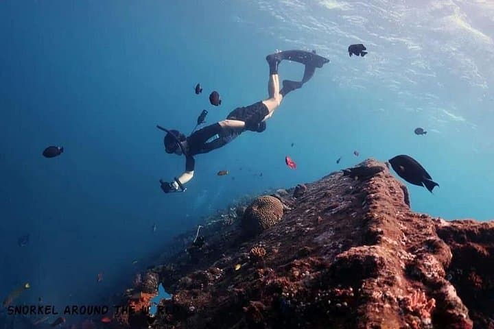 Marsa Alam Safari and Snorkel: ATV Desert Rides + Red Sea Reefs photo 2