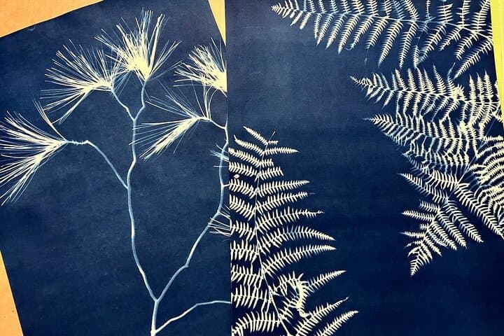 Desert Cyanotype Workshop — Make Sun Prints in Palm Springs