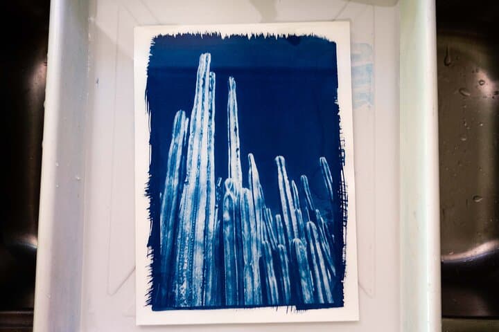 Desert Cyanotype Workshop — Make Sun Prints in Palm Springs photo 3