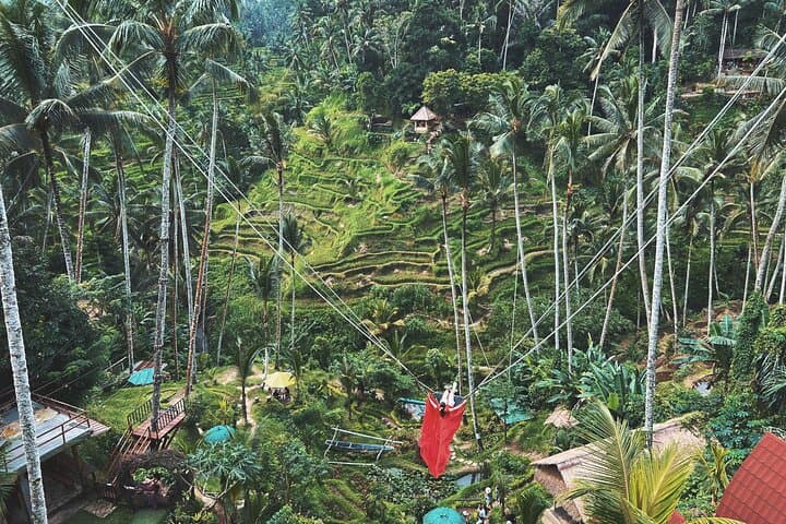 Ubud Private Tour: Rice Terraces, Monkey Forest, Waterfall & Batuan Temple