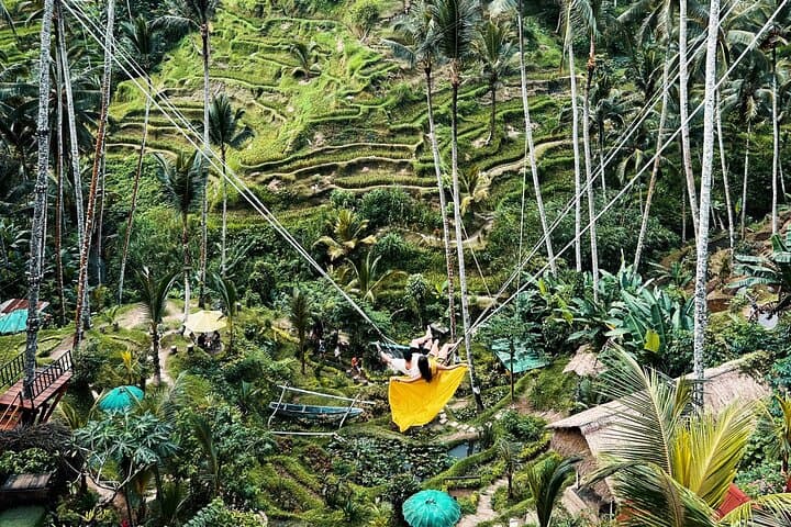 Ubud Private Tour: Rice Terraces, Monkey Forest, Waterfall & Batuan Temple photo 3