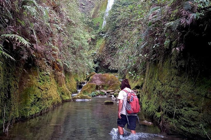 Hike to Vuelta de Cañón Waterfall at the Foot of Poás Volcano photo 3