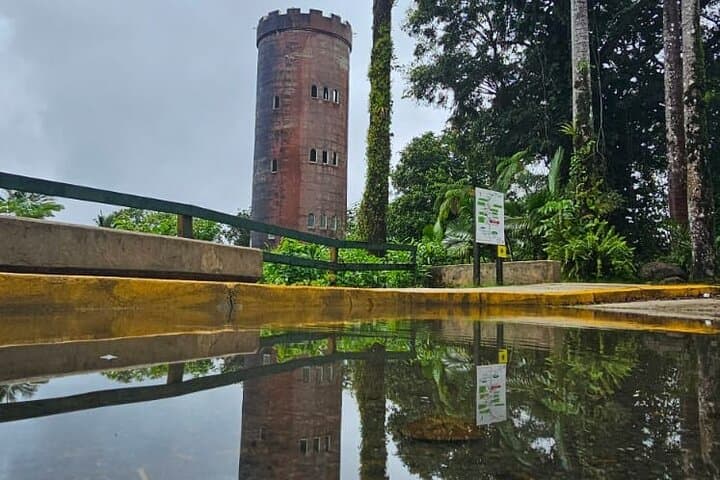 El Yunque Rainforest & Luquillo Kiosks Combo: Guided Hike, Waterfall Swim & Beach Lunch photo 2