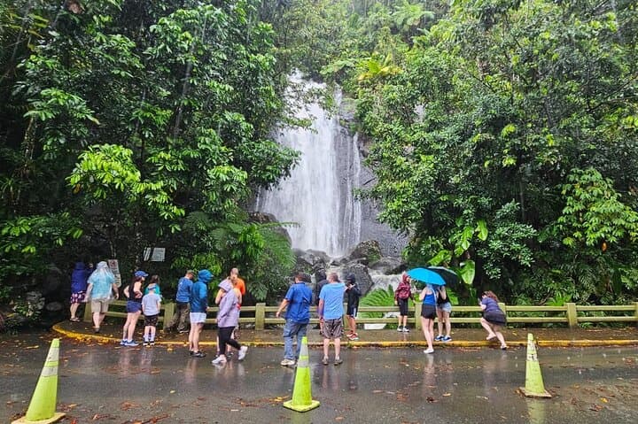 El Yunque Rainforest & Luquillo Kiosks Combo: Guided Hike, Waterfall Swim & Beach Lunch photo 3