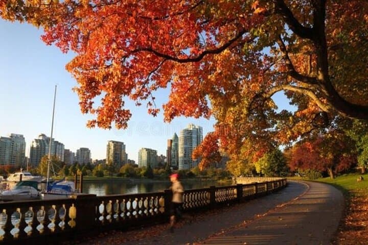 Vancouver Must-See Walking Tour: Stanley Park, Prospect Point & Granville Island photo 3