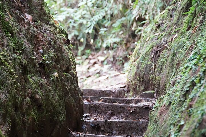 Bajos del Toro Waterfall Hiking Tour — Tesoro Escondido Waterfall & Natural Pools photo 6
