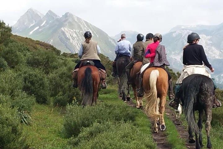 Horseback Riding in Madrid Natural Park: Private Guided Trails Near Madrid photo 2