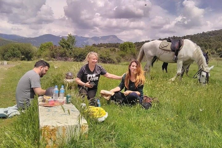 Horseback Riding in Madrid Natural Park: Private Guided Trails Near Madrid photo 3