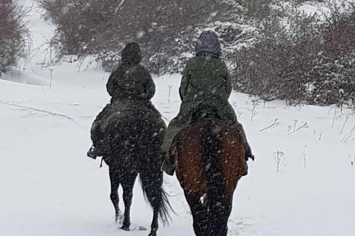 Horseback Riding in Madrid Natural Park: Private Guided Trails Near Madrid photo 4