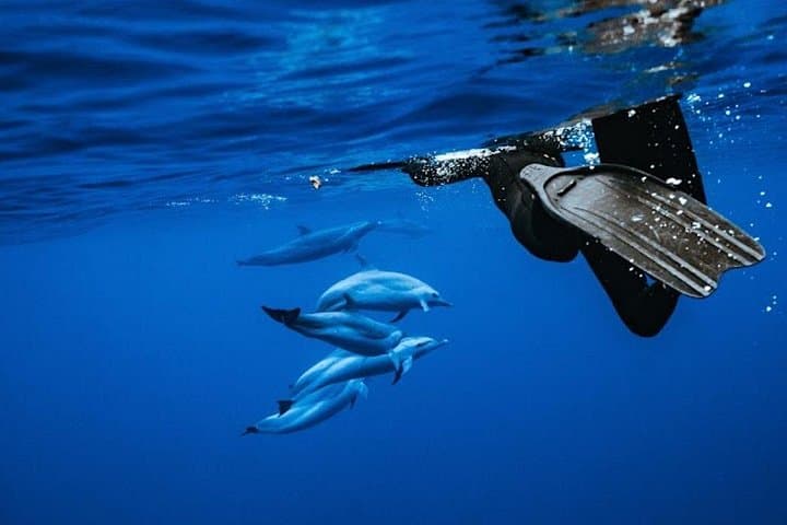 Swim with Wild Dolphins & Snorkel Makaha: Oahu Catamaran with Waterslide and Lunch photo 3