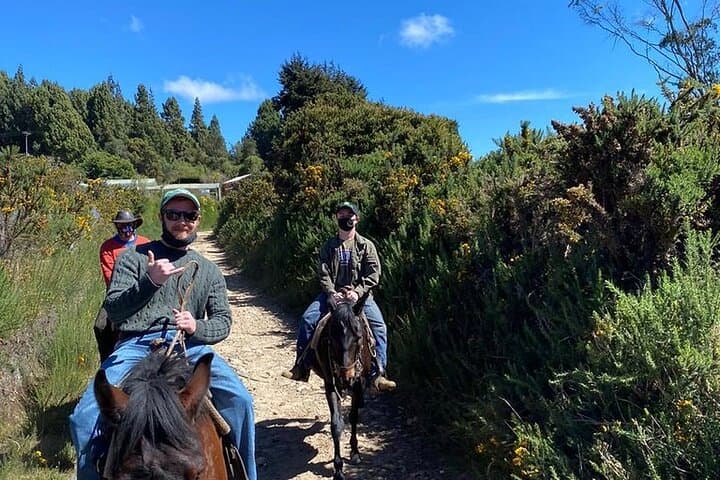 Highlands Horseback Riding in Bogotá: Andean Trails & Panoramic Views photo 3