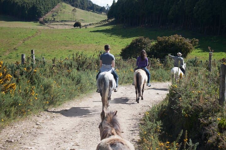 Highlands Horseback Riding in Bogotá: Andean Trails & Panoramic Views photo 6