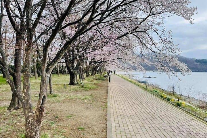 Mt Fuji 5th Station to Kawaguchiko: Day Trip with Oshino Hakkai & Matcha Workshop photo 3