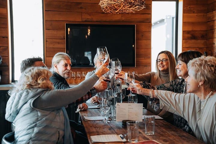 VIP Central Otago Wine Tour from Queenstown with Gourmet Lunch