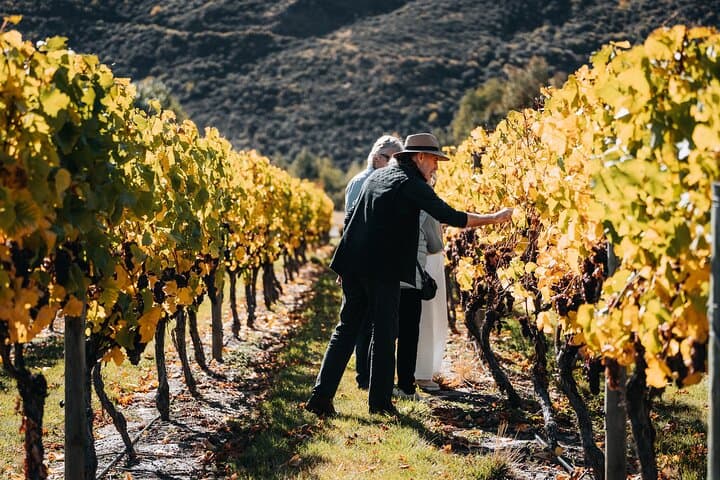 Meet a Winemaker: Private Farm & Wine Experience from Queenstown photo 2