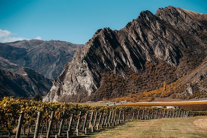 VIP Central Otago Wine Tour from Queenstown with Gourmet Lunch photo 6