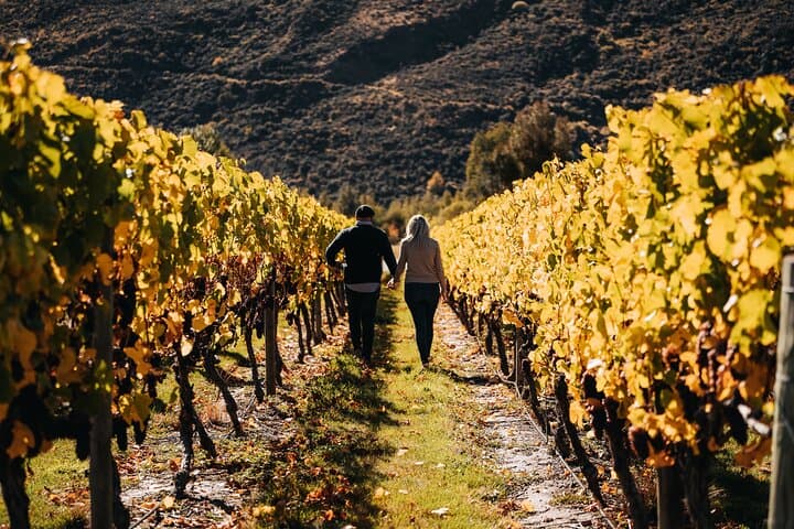 Gibbston Small-Batch Wine Experience: Private Back-Roads Tour from Queenstown photo 2