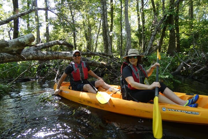 Kayak Blackwater Creek: Guided Nature Paddle in Seminole State Forest