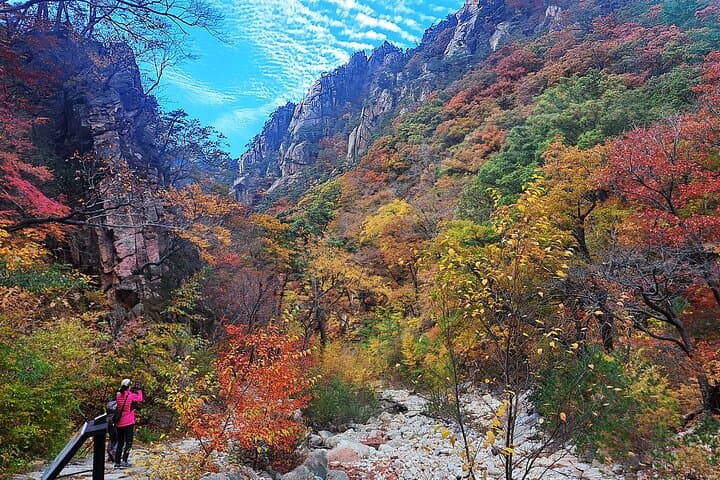Seorak, Nami & Morning Calm: Full-Day Trip from Seoul to Korea’s Mountain, Island & Garden photo 2