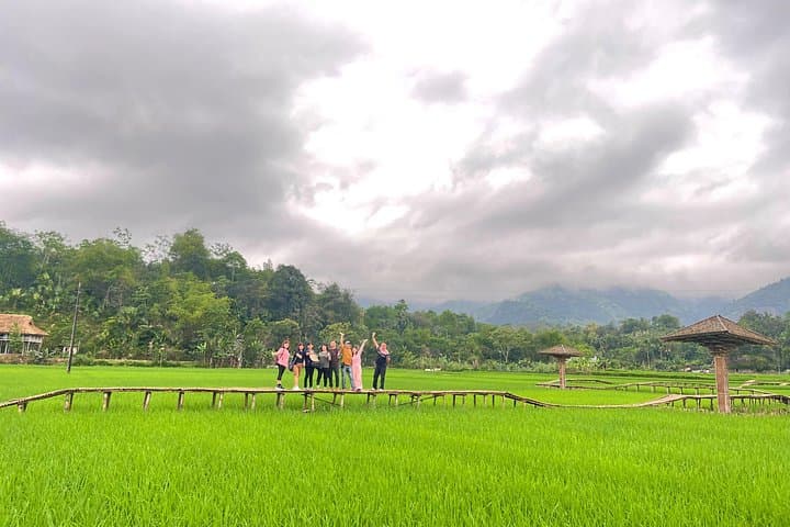 Three-Day Sapa Homestay Trek: Y Linh Ho, Lao Chai & Ta Van photo 4
