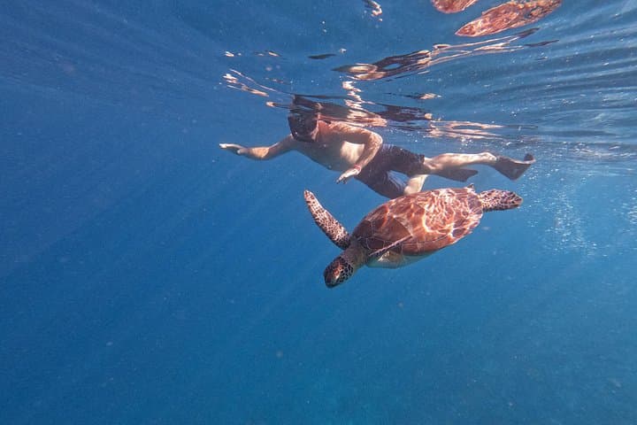 Sunset Snorkeling in Gili Meno: Turtle Point, Blue Coral & GoPro Photos photo 1