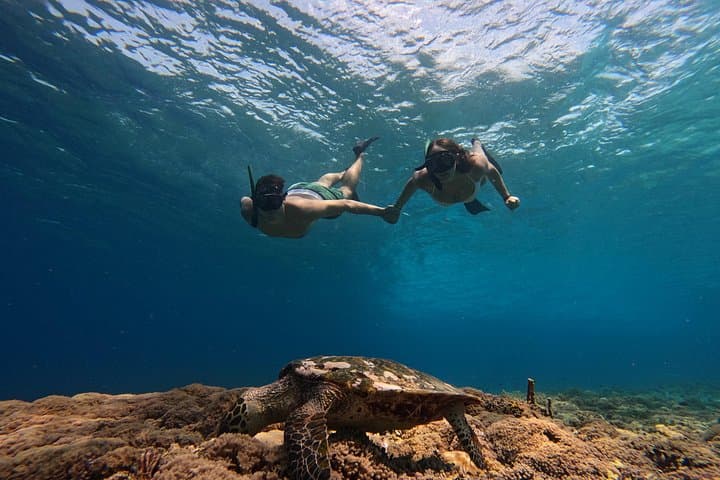 Sunset Snorkeling in Gili Meno: Turtle Point, Blue Coral & GoPro Photos photo 2
