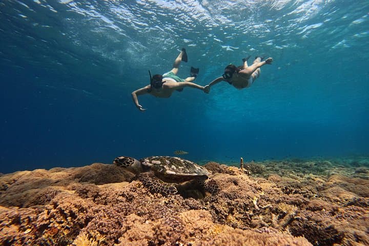 Sunset Snorkeling in Gili Meno: Turtle Point, Blue Coral & GoPro Photos photo 3