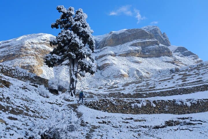 Annapurna Circuit & Base Camp: 18-Day High-Altitude Trek in Nepal photo 4