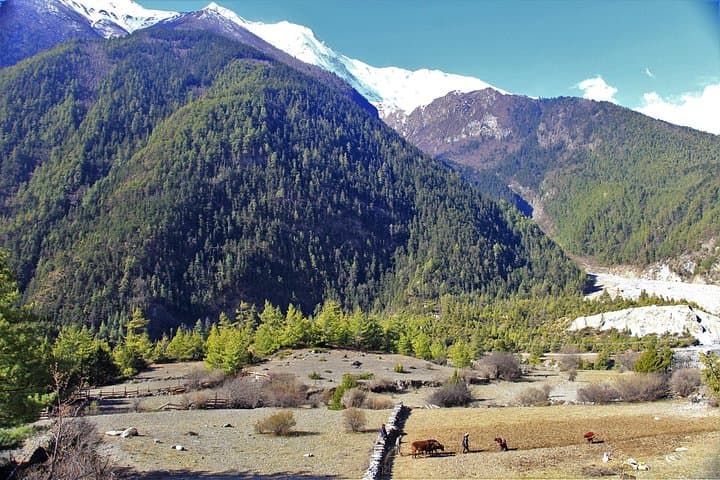 Annapurna Circuit and Poon Hill: 15-Day Classic Trek from Pokhara photo 2