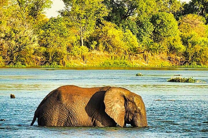 Sunrise Zambezi River Breakfast Cruise at Victoria Falls photo 3