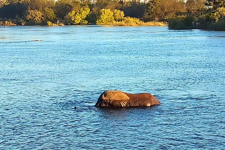 Zambezi Sunset Cruise at Victoria Falls — Standard Boat & Wildlife Experience photo 3