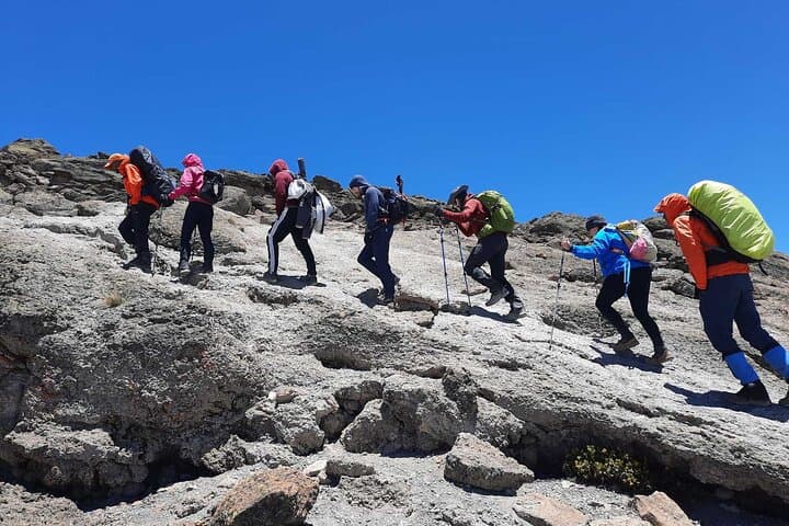 8-Day Lemosho Route Kilimanjaro Trek: Itinerary, Acclimatization & Summit Strategy photo 3