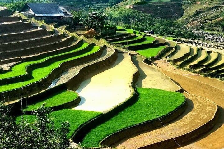 Sa Pa Trekking: Night Train to Homestay — 2 Days, 3 Nights Immersive Trek photo 1