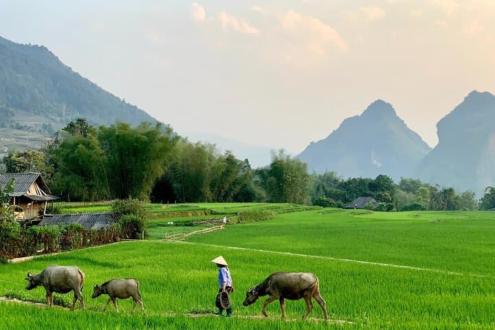 Sa Pa Trekking: Night Train to Homestay — 2 Days, 3 Nights Immersive Trek photo 3