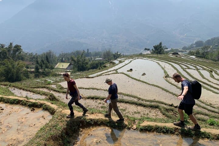 Sa Pa Trekking: Night Train to Homestay — 2 Days, 3 Nights Immersive Trek photo 4