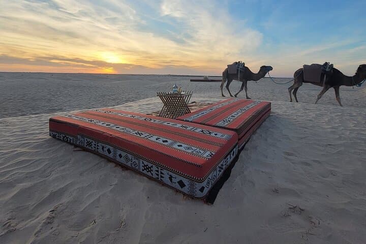 Dromedary Desert Expedition in Djerba: Camel Trek, Night Camp & Sandboarding