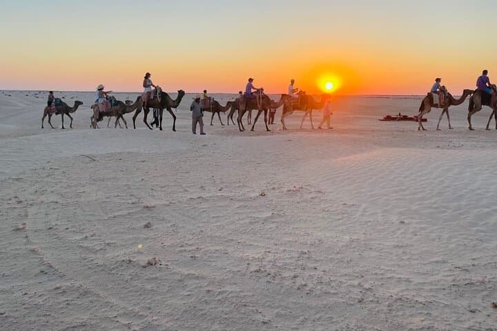 Dromedary Desert Expedition in Djerba: Camel Trek, Night Camp & Sandboarding photo 3