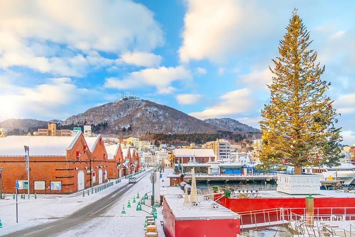 Hakodate Private Custom Full-Day Tour — Goryokaku, Motomachi & Kanemori Guide photo 2